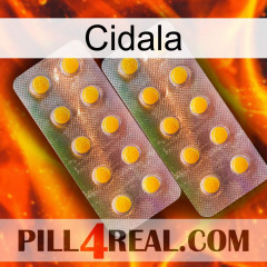 Cidala new10